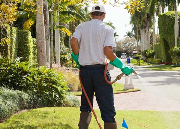 About Lake Havasu City AZ Pest Control Pros